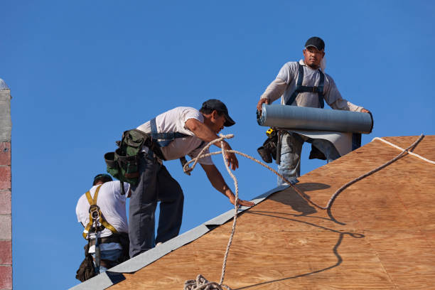 Best Roof Gutter Cleaning  in Tarboro, NC